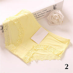 1Pcs Hot Sexy Women's Underwear Cotton Lace Briefs - Bikinisexy